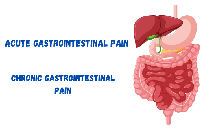 Acute Gastrointestinal Pain Chronic Gastrointestinal Pain