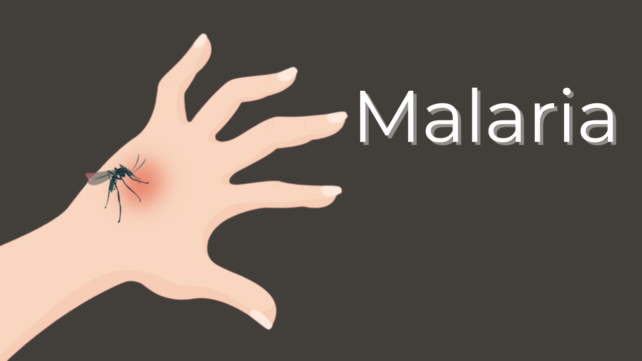 Malaria