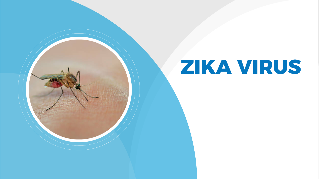 Zika Virus