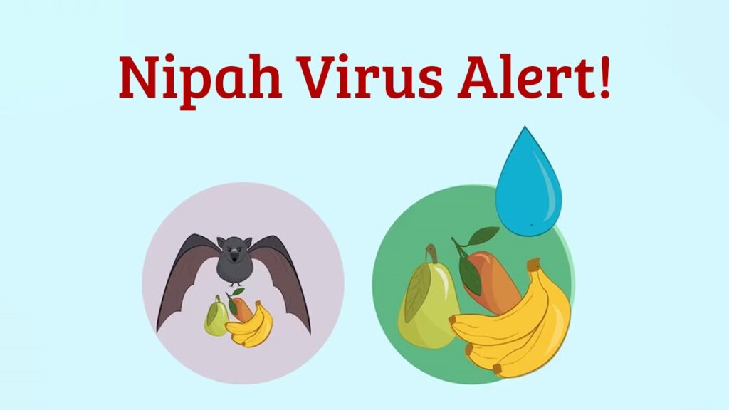 Introduction to Nipah Virus